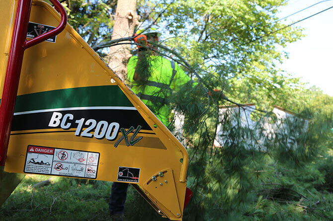 close up of tree branches going into wood chipper